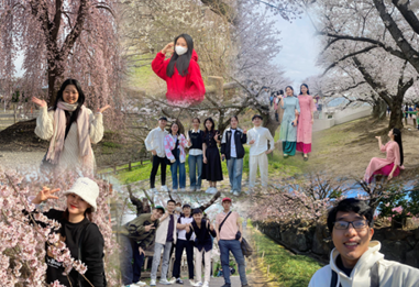“Bắt trend” ngắm mùa hoa anh đào tại Nhật Bản cùng sinh viên Đại học Đông Á